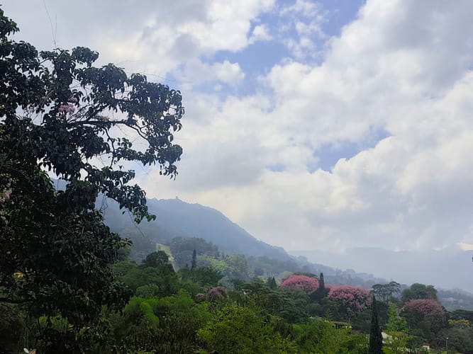 Apartaestudio en arriendo en Loma El Atravesado, Envigado, 40 m² · foto 6 de 12