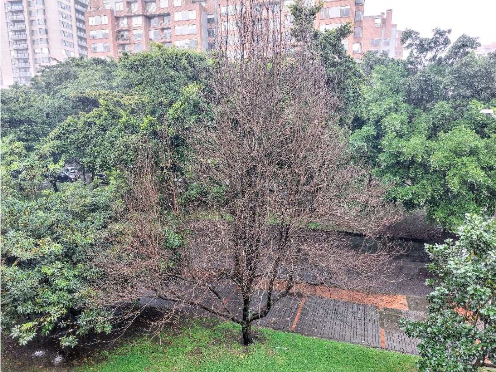 Apartamento en venta en Mazuren, Bogotá · foto 5 de 24
