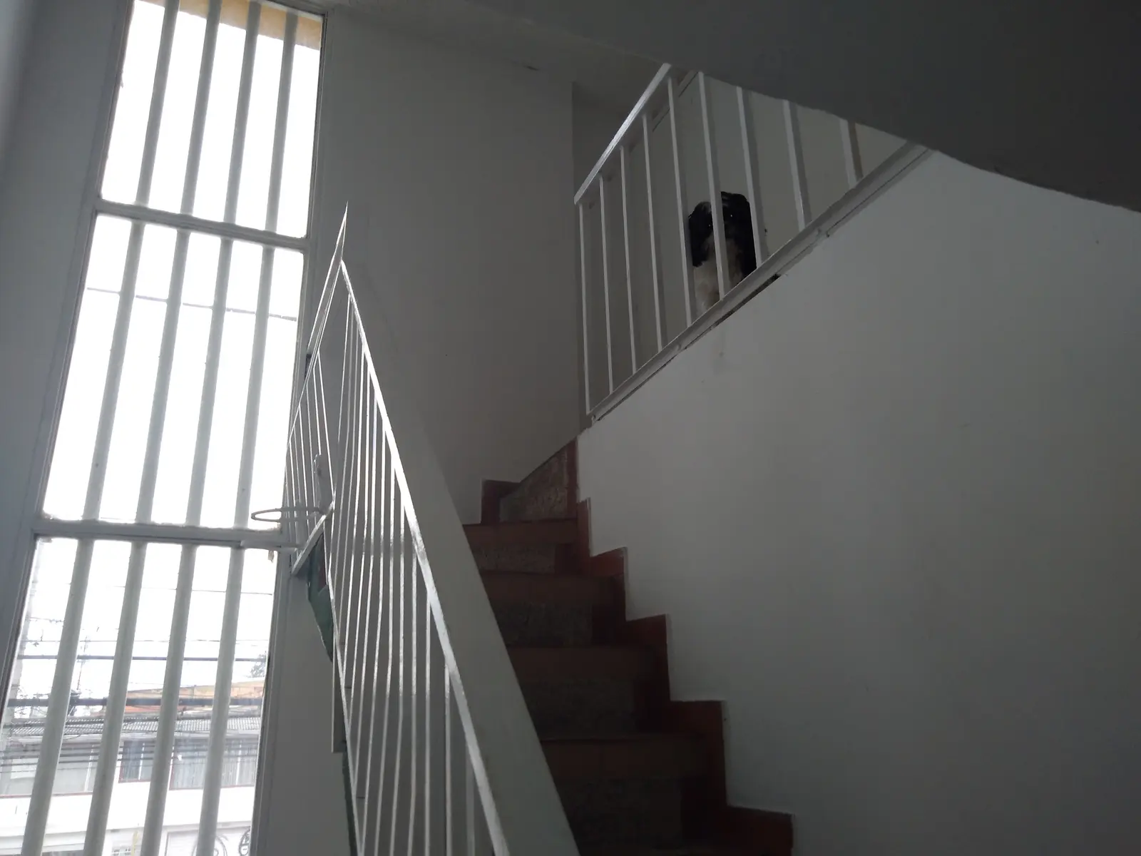 Casa en venta en Engativá, Bogotá · foto 14 de 17
