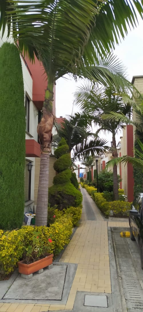 Casa de 3 alcobas en venta en Ub El Trebol, Mosquera, 96 m² · foto 4 de 19
