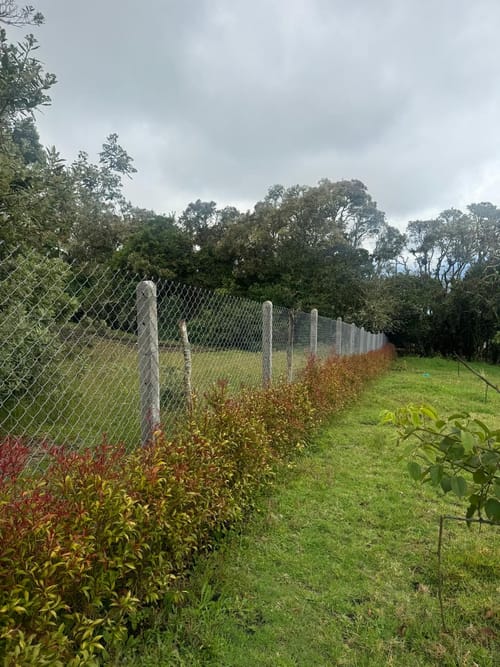 Lote en venta en Yerbabuena, Sopó, 5000 m² · foto 19 de 24
