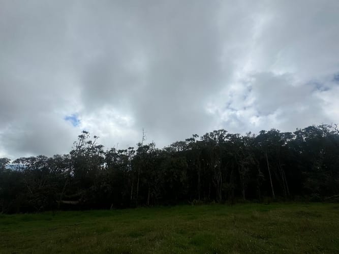 Lote en venta en Yerbabuena, Sopó, 5000 m² · foto 21 de 24