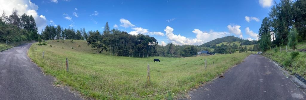 Land in Llano Grande (1580 m²) for Sale - 3