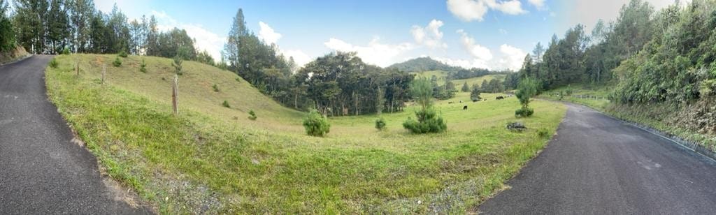 Lote en venta en Vía Las Palmas, El Retiro, 18419 m² · foto 6 de 17