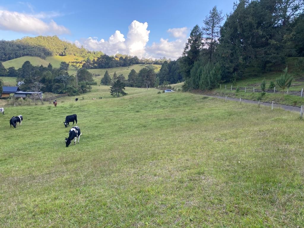 Land in Llano Grande (1580 m²) for Sale - 2