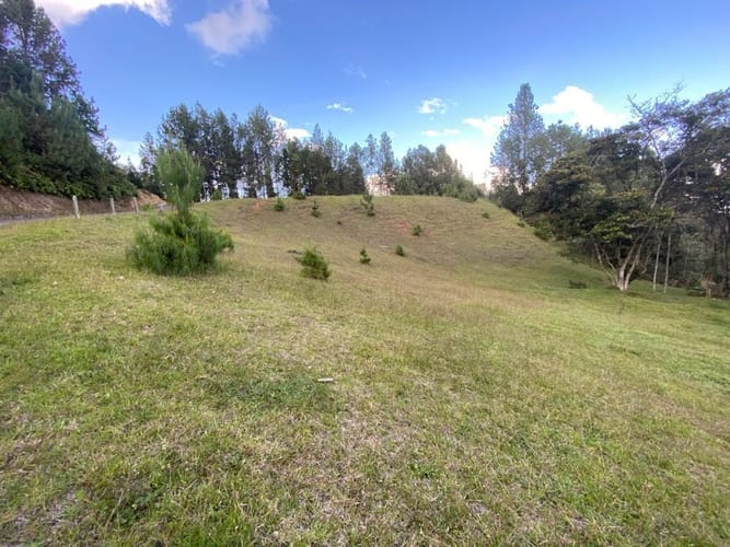Lote en venta en Vía Las Palmas, El Retiro, 18419 m² · foto 17 de 17