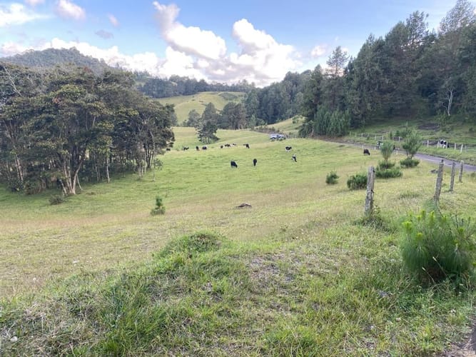 Lote en venta en Vía Las Palmas, El Retiro, 18419 m² · foto 10 de 17
