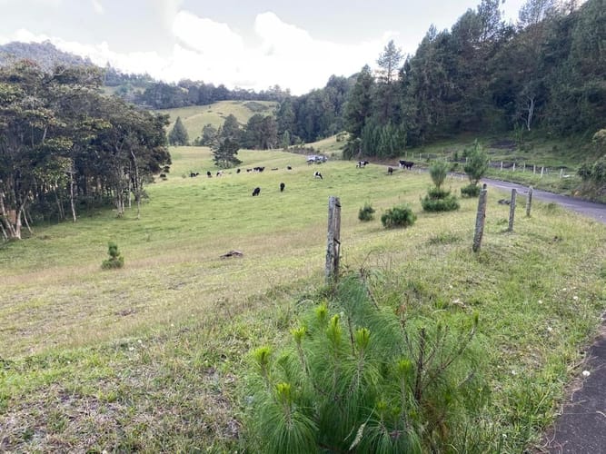 Lote en venta en Vía Las Palmas, El Retiro, 18419 m² · foto 11 de 17
