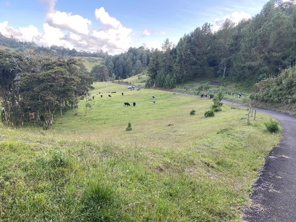 Land in Llano Grande (1580 m²) for Sale
