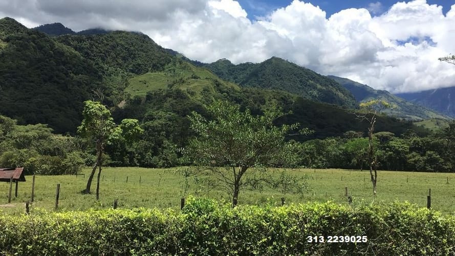 Finca en venta en 20 De Julio, Villavicencio · foto 8 de 10