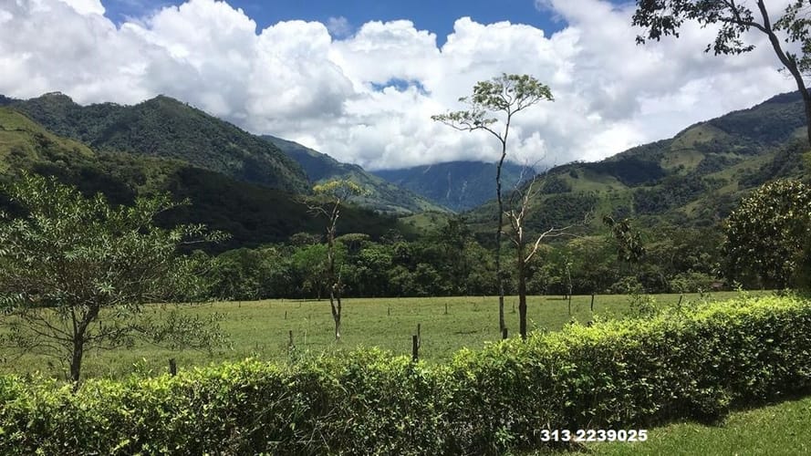 Finca en venta en 20 De Julio, Villavicencio · foto 9 de 10