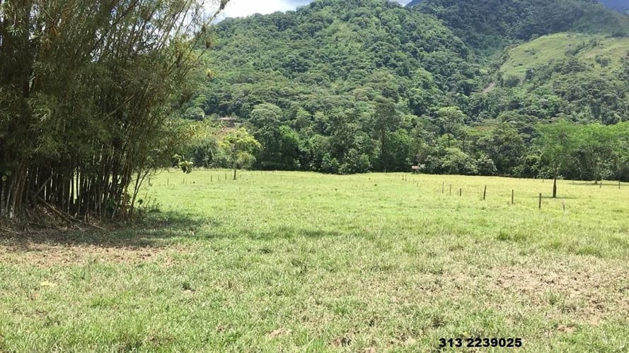Finca en venta en 20 De Julio, Villavicencio · foto 10 de 10