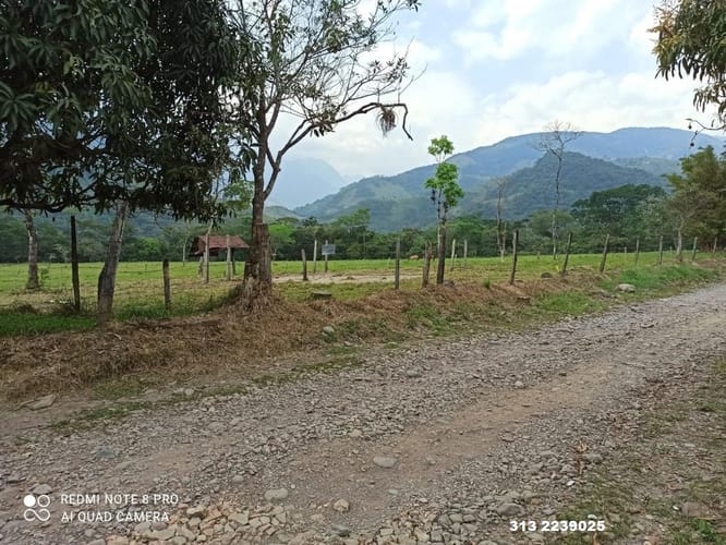 Finca en venta en 20 De Julio, Villavicencio · foto 4 de 10