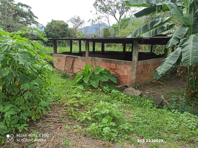 Finca en venta en 20 De Julio, Villavicencio · foto 5 de 10