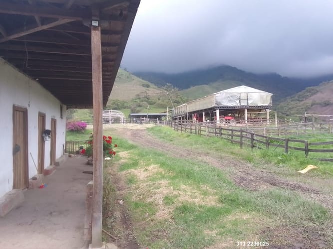 Finca en venta en Centro, Ibagué, 359 m² · foto 2 de 11