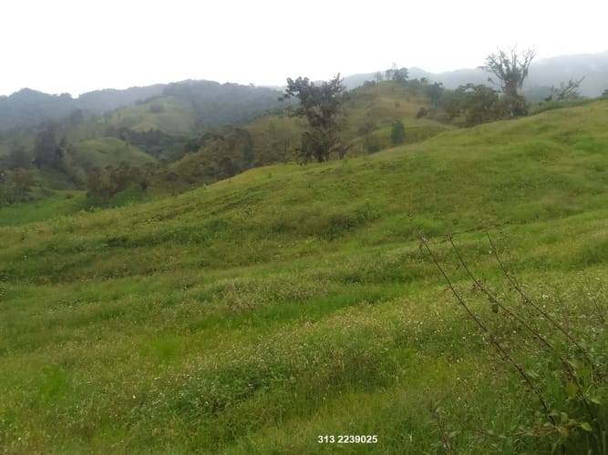 Finca en venta en Centro, Ibagué, 359 m² · foto 3 de 11