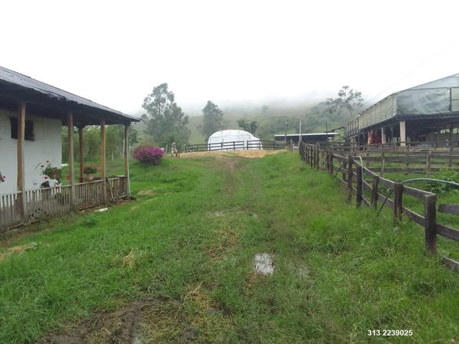 Finca en venta en Centro, Ibagué, 359 m² · foto 8 de 11