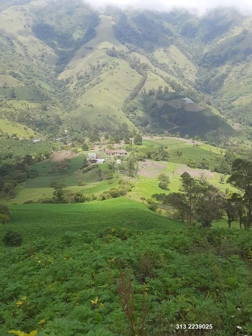 Finca en venta en Centro, Ibagué, 359 m² · foto 5 de 11