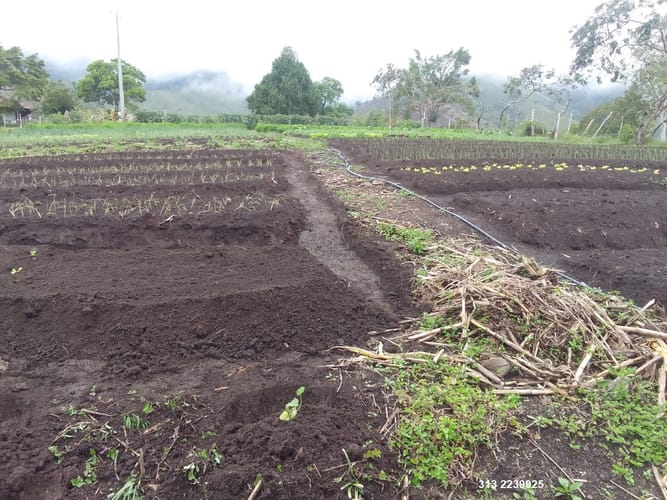 Finca en venta en Centro, Ibagué, 359 m² · foto 7 de 11