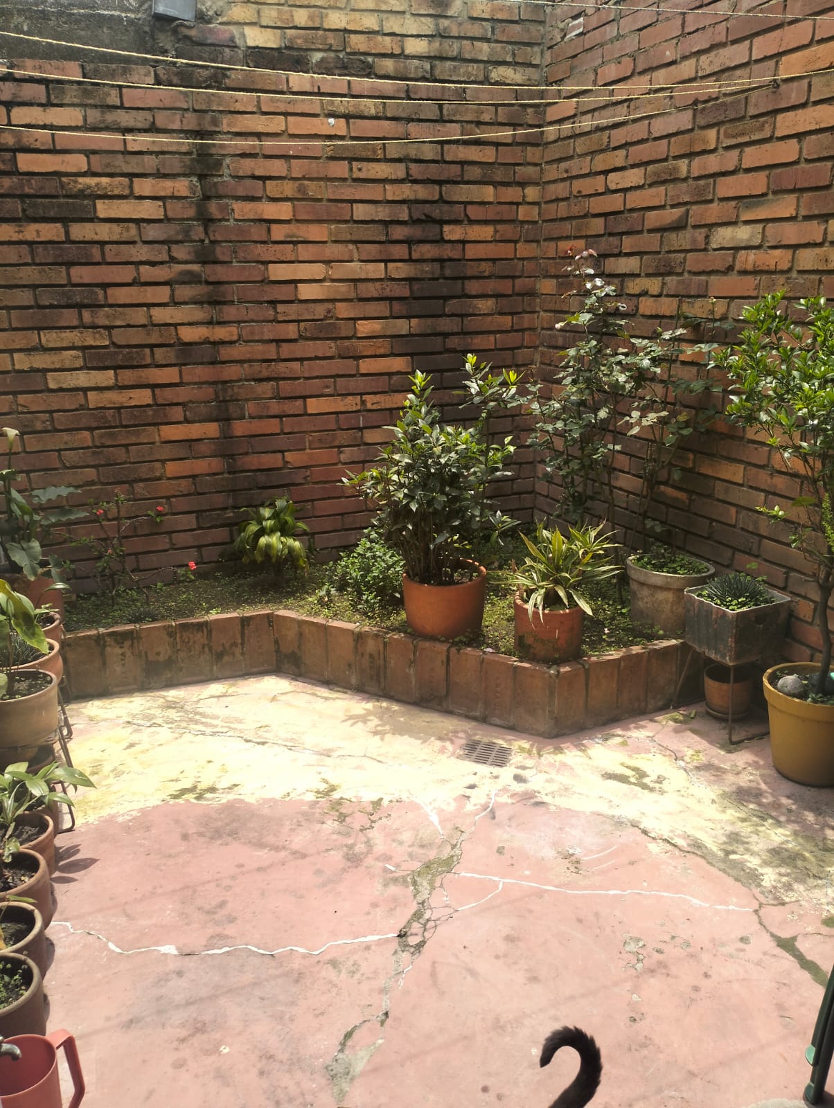 Casa en venta en Cedritos, Bogotá · foto 2 de 13