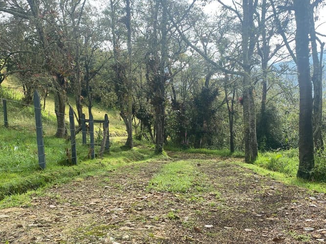 Lote en venta en El Libano, La Calera, 2500 m² · foto 8 de 12