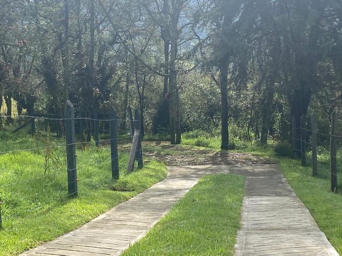 Lote en venta en El Libano, La Calera, 2500 m² · foto 9 de 12