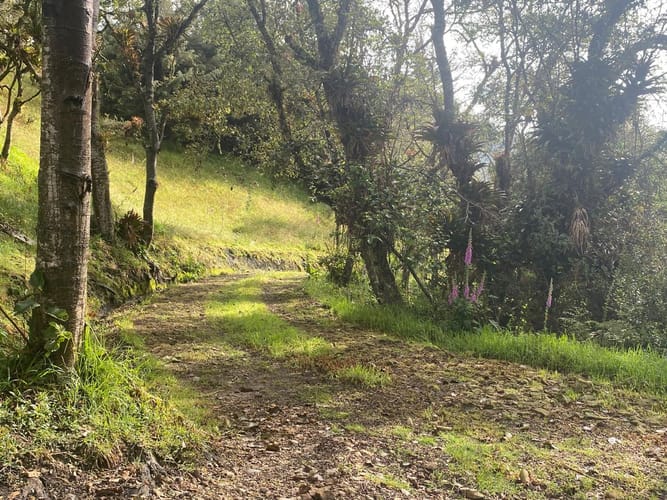 Lote en venta en El Libano, La Calera, 2500 m² · foto 11 de 12