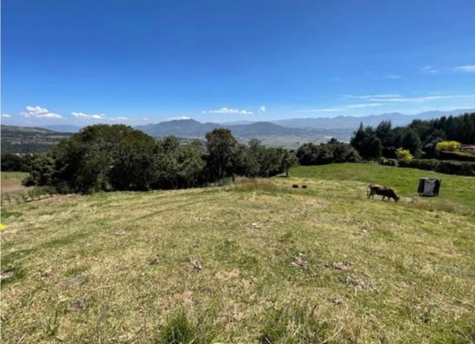 Lote en venta en Yerbabuena, Sopó, 5000 m² · foto 2 de 12