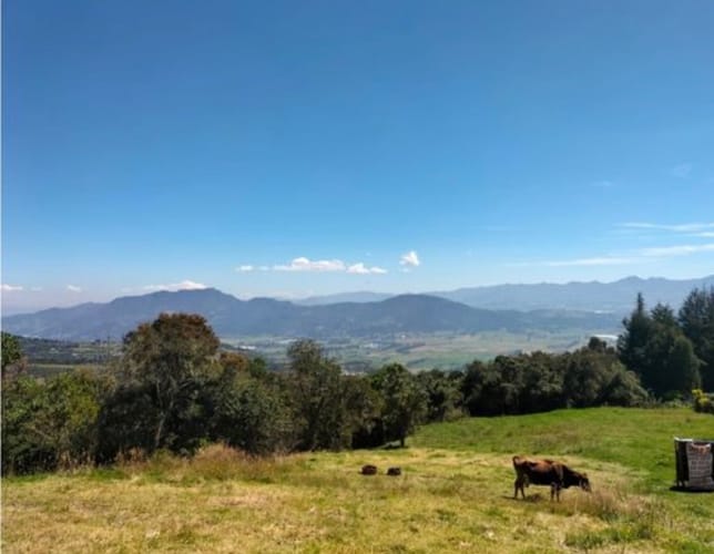 Lote en venta en Yerbabuena, Sopó, 5000 m² · foto 3 de 12