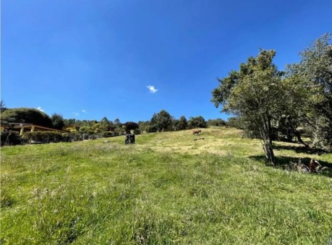 Lote en venta en Yerbabuena, Sopó, 5000 m² · foto 4 de 12
