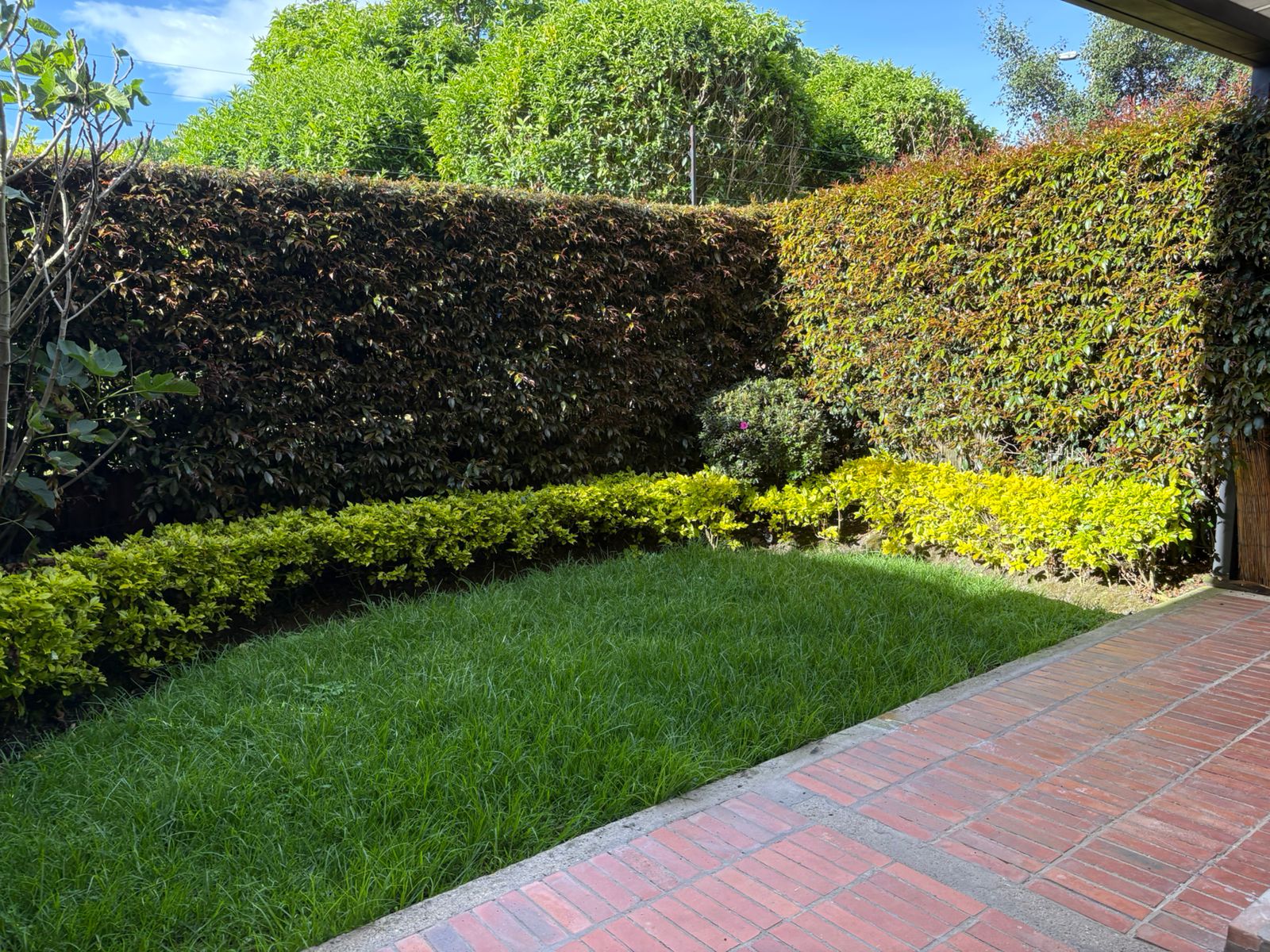 Casa en venta en Camino De Arrayanes, Bogotá · foto 9 de 24