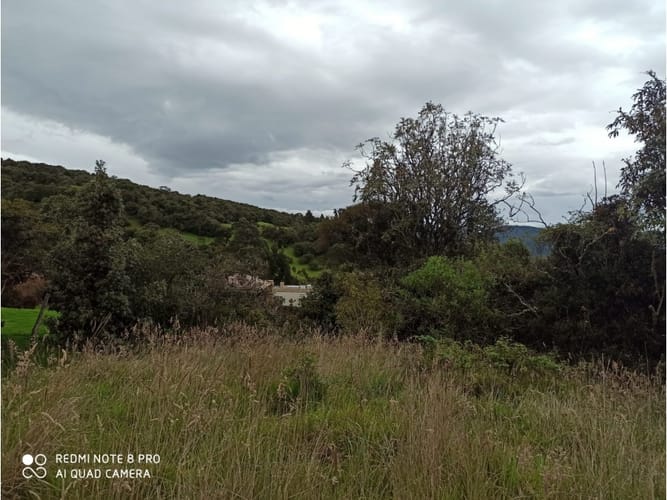 Lote en venta en Centro, Sopó, 1933 m² · foto 3 de 24