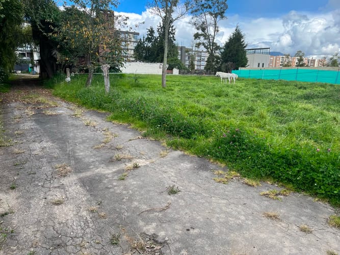 Lote en venta en Calahorra, Cajicá, 3200 m² · foto 3 de 3