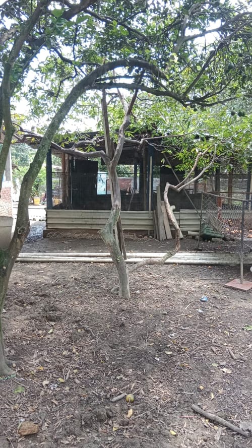 Finca en venta en Ayacucho - La Buitrera, Palmira, 200 m² · foto 5 de 14