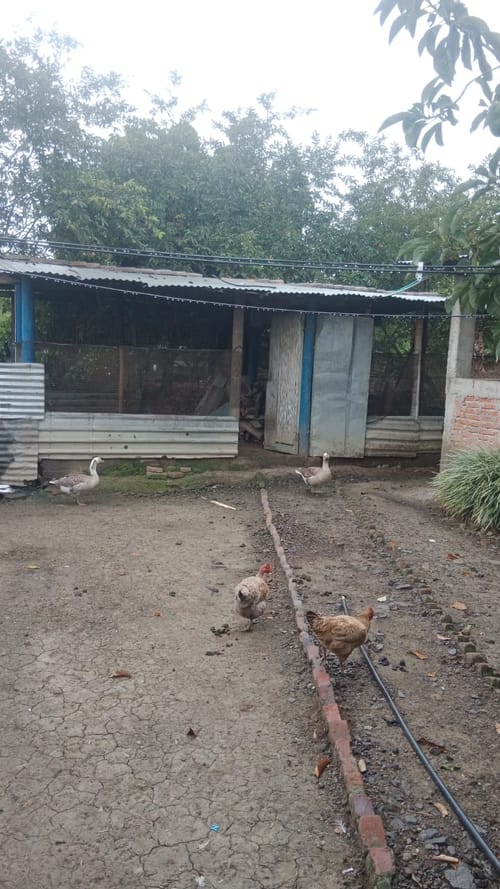 Finca en venta en Ayacucho - La Buitrera, Palmira, 200 m² · foto 7 de 14