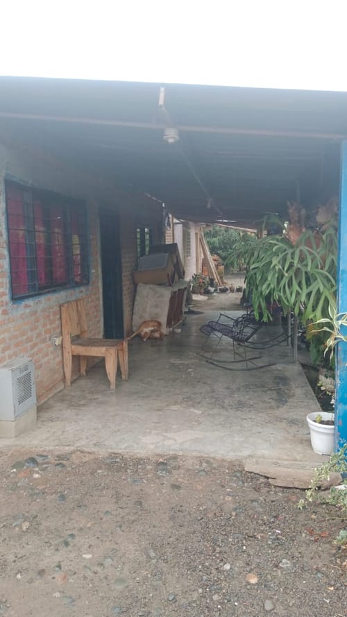 Finca en venta en Ayacucho - La Buitrera, Palmira, 200 m² · foto 8 de 14
