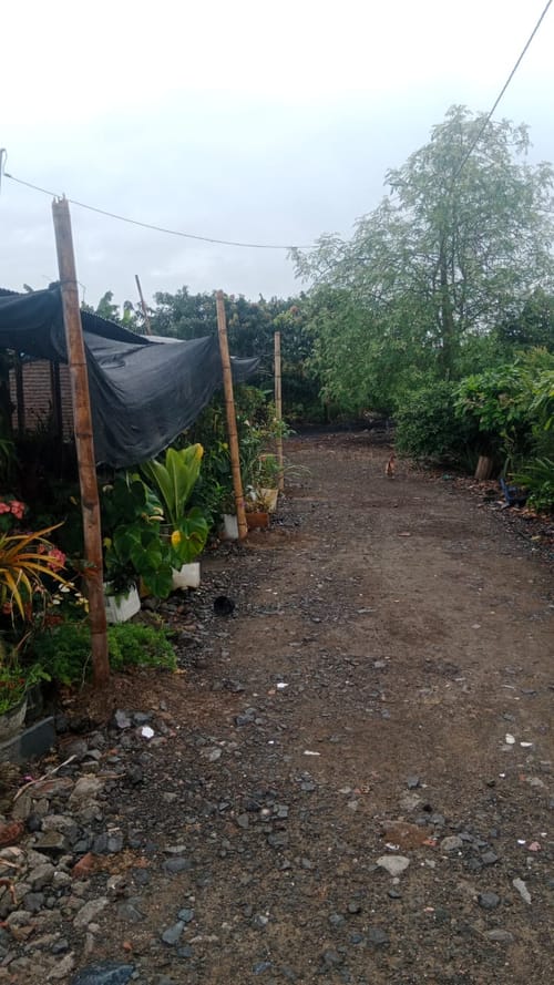 Finca en venta en Ayacucho - La Buitrera, Palmira, 200 m² · foto 10 de 14