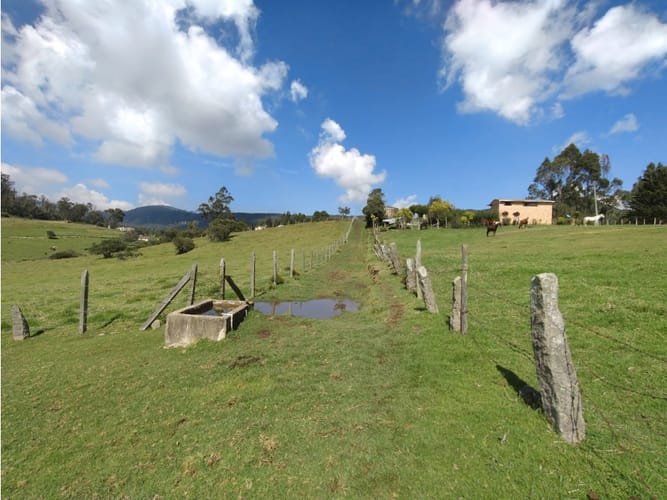 Lote en venta en Centro, La Calera, 25000 m² · foto 2 de 10