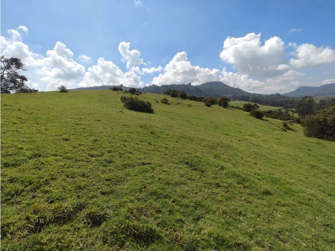 Lote en venta en Centro, La Calera, 25000 m² · foto 4 de 10