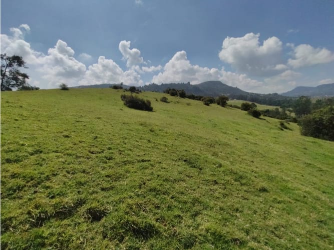 Lote en venta en Centro, La Calera, 25000 m² · foto 5 de 10