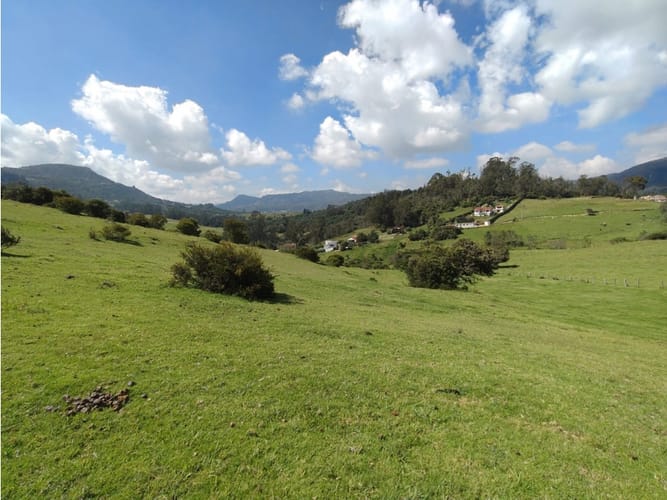 Lote en venta en Centro, La Calera, 25000 m² · foto 6 de 10