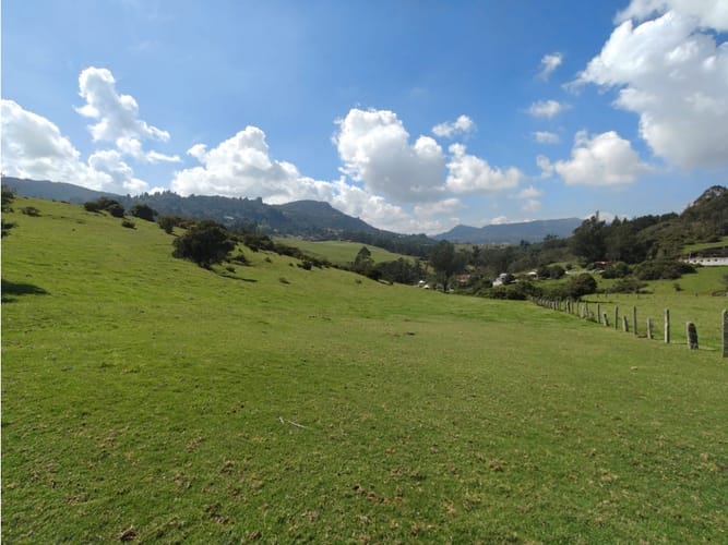 Lote en venta en Centro, La Calera, 25000 m² · foto 7 de 10