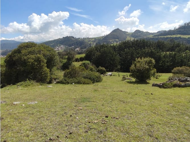 Lote en venta en Centro, La Calera, 25000 m² · foto 9 de 10