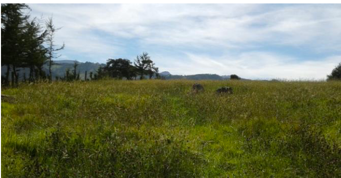 Lote en venta en San Jose De La Concepcion, La Calera, 10 m² · foto 3 de 12