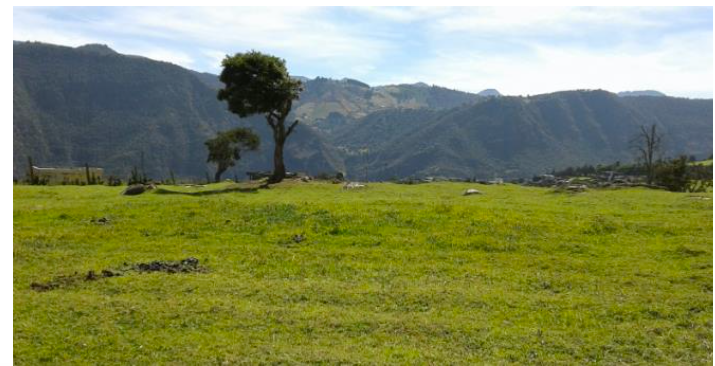 Lote en venta en San Jose De La Concepcion, La Calera, 10 m² · foto 4 de 12