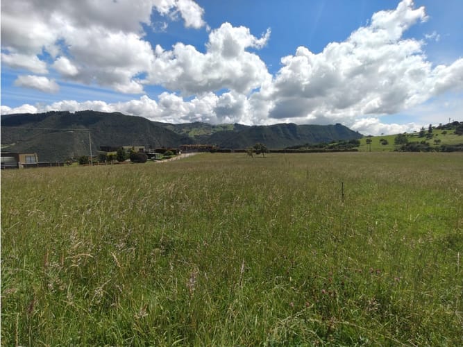 Lote en venta en Centro, La Calera, 37500 m² · foto 4 de 13