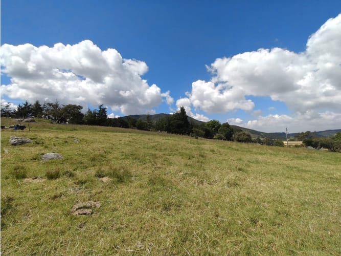 Lote en venta en Centro, La Calera, 37500 m² · foto 5 de 13