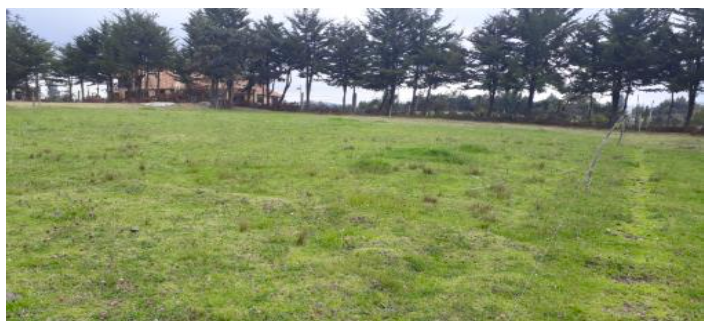 Lote en venta en San Jose De La Concepcion, La Calera, 10 m² · foto 7 de 12