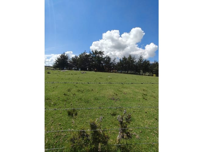 Lote en venta en Centro, La Calera, 37500 m² · foto 7 de 13