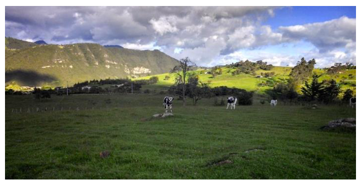 Lote en venta en San Jose De La Concepcion, La Calera, 10 m² · foto 8 de 12